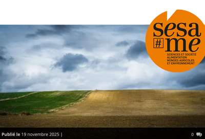 Des terres (pas si) rares